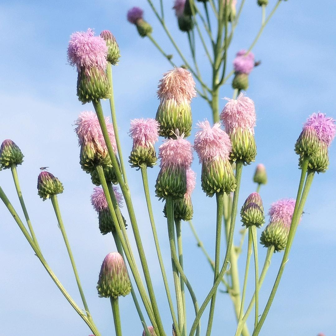 余生，做个俗人爱财爱己