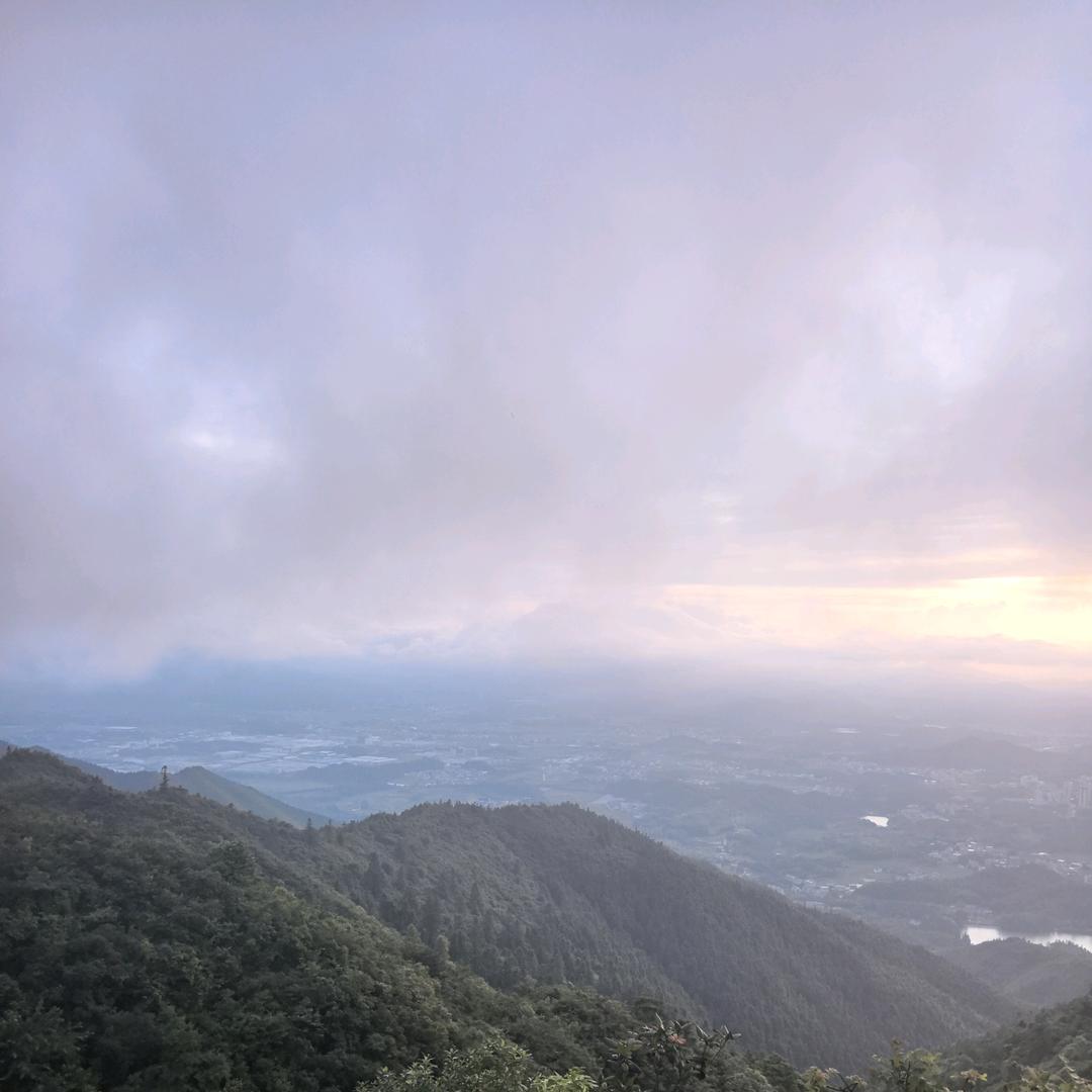 风