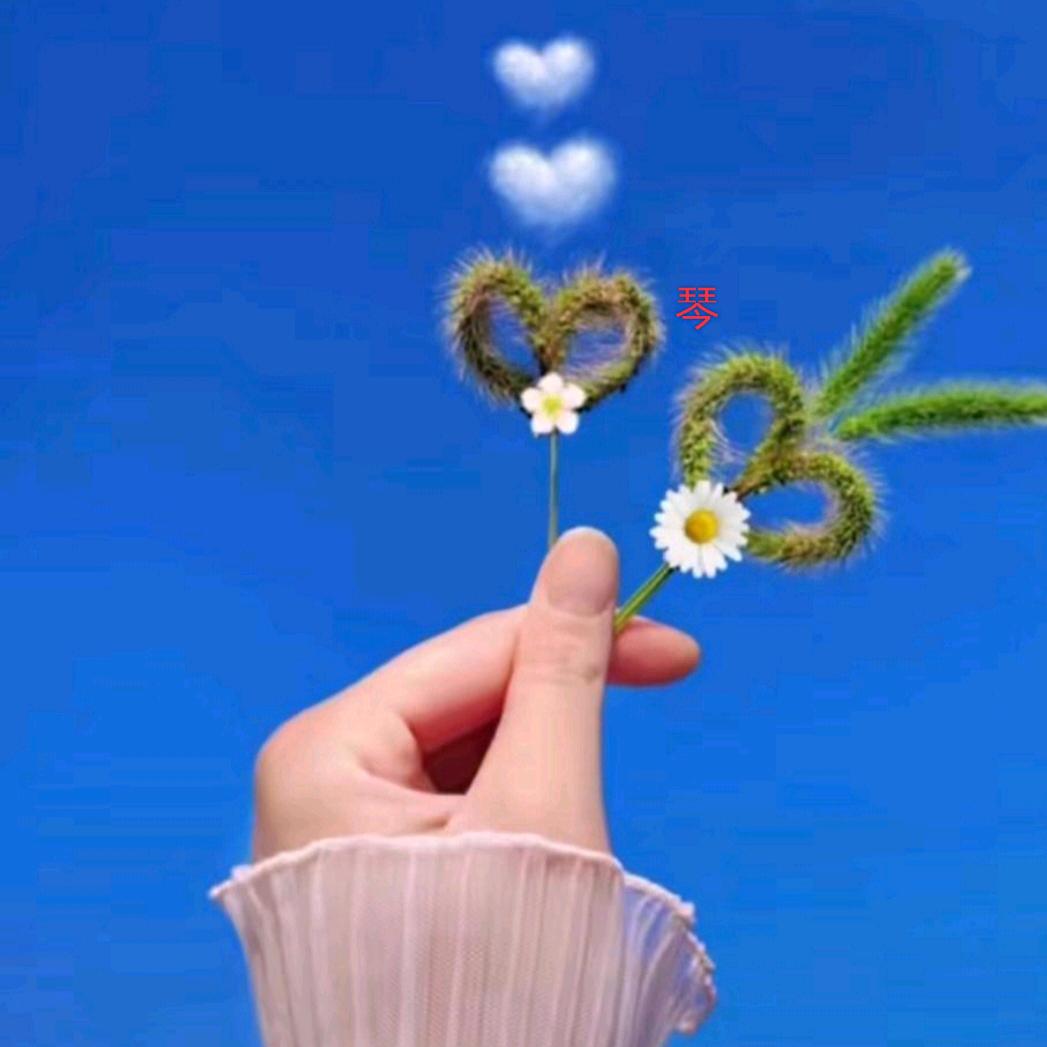 💗᭄凤姐࿐