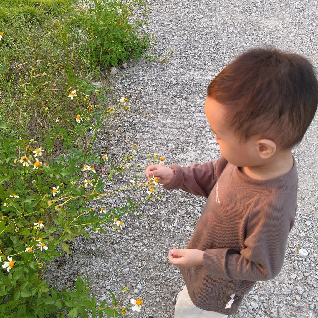 一只榴莲小宝✨