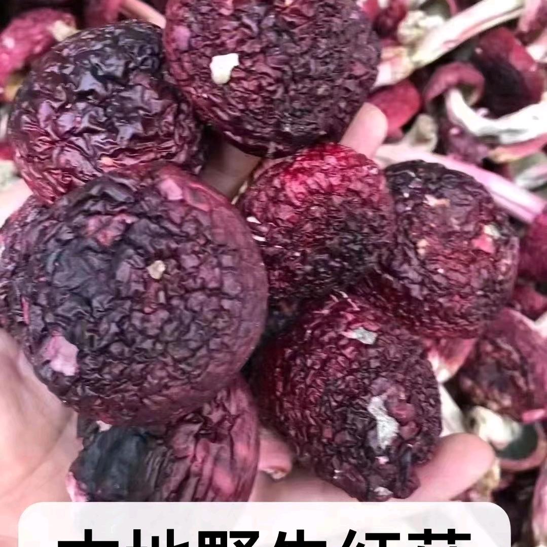 天越参茸批发（招代理商）