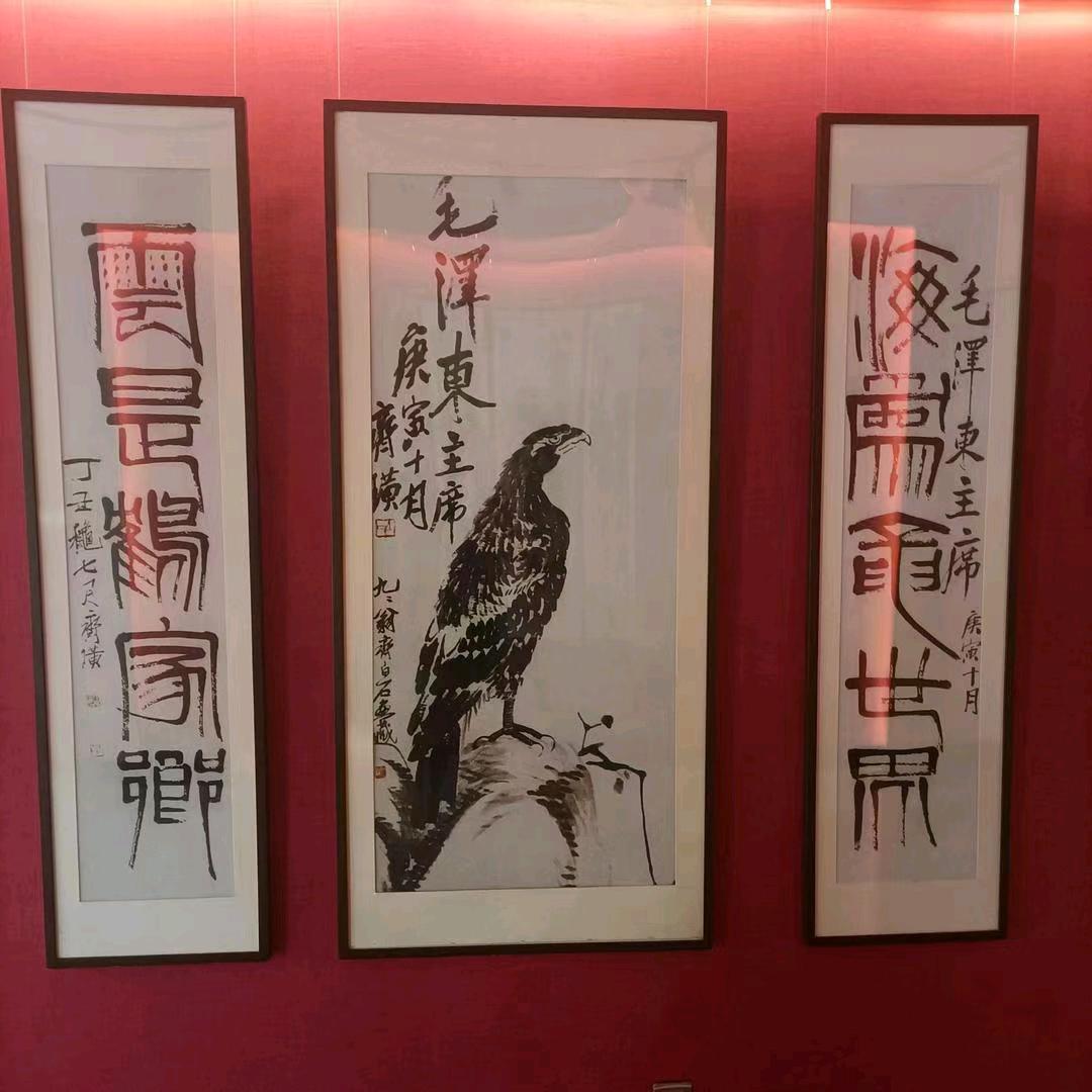 雀鹰