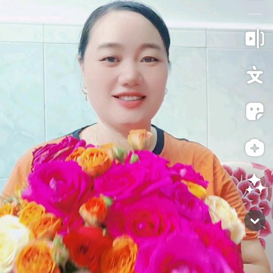 红尘玉彩