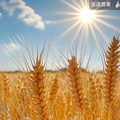 平安健康！