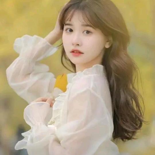 奇客 好物在橱窗