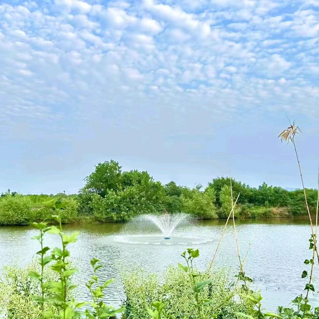 鸿渊-灵瑞居（国学易经大讲堂）