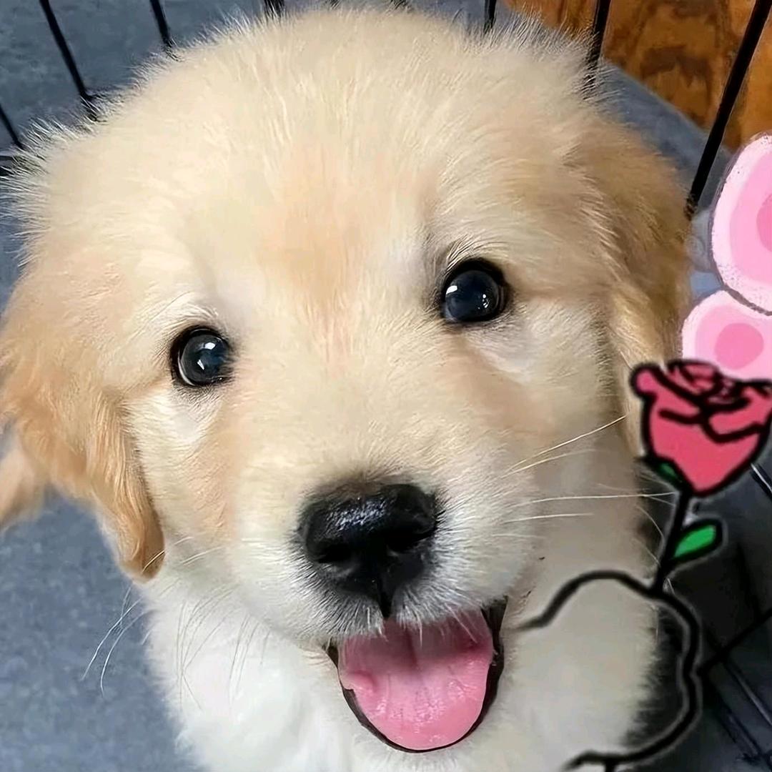 Fall in love with yo