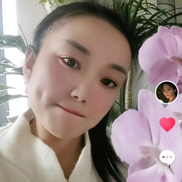 傲雪红梅