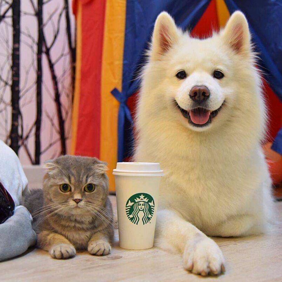 上海楚胜贸易有限公司企业店