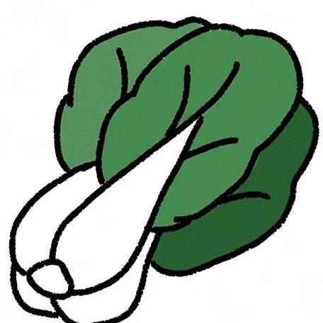 小cai