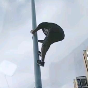 飞天神鸵