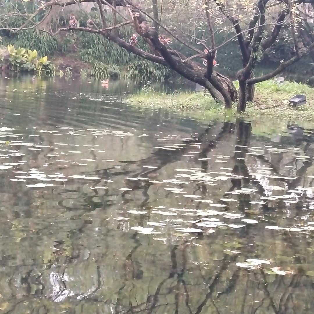 @桃～子～不～甜@