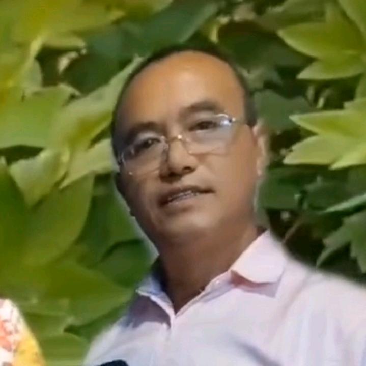 向总，电影达人