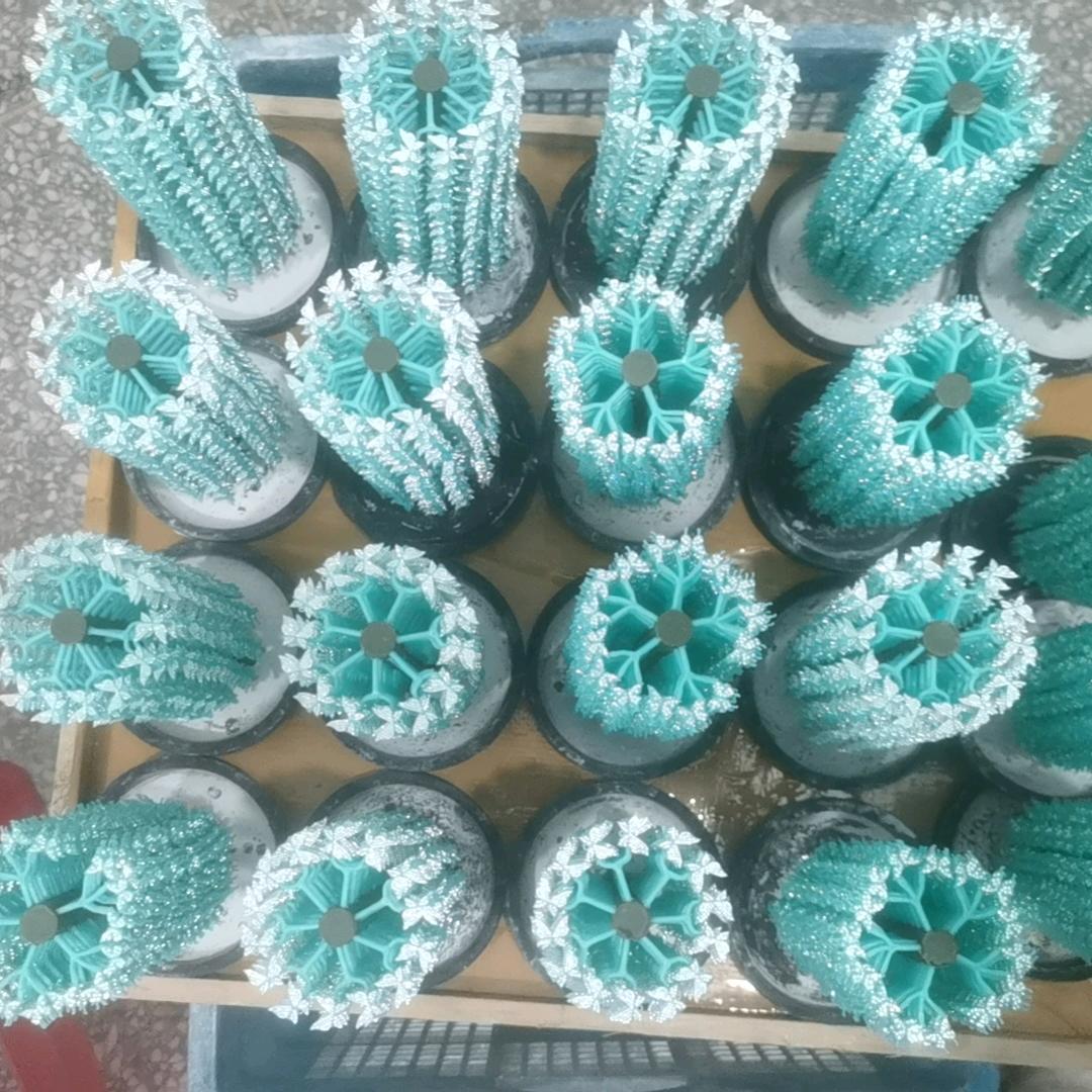 太阳的心灵港湾