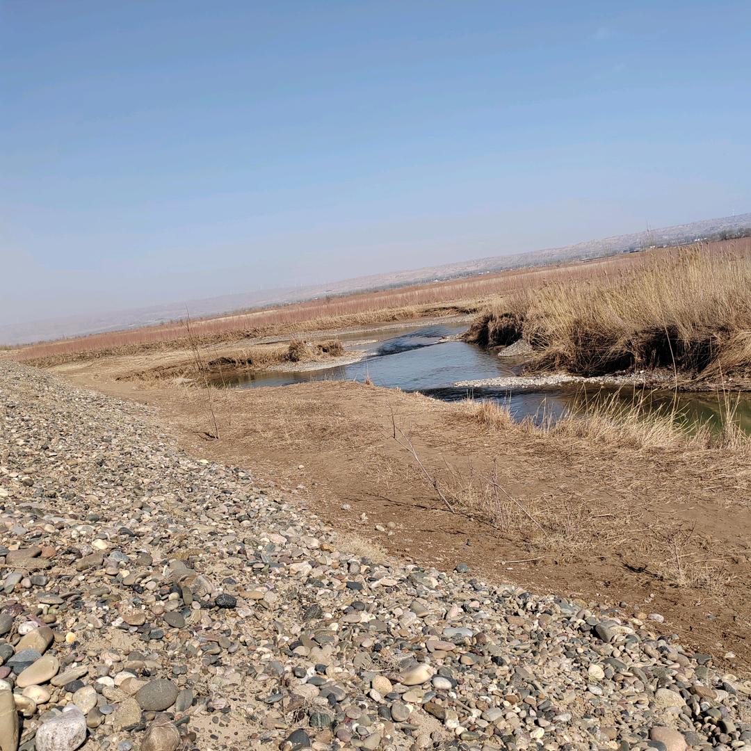 睡不醒的泡泡糖