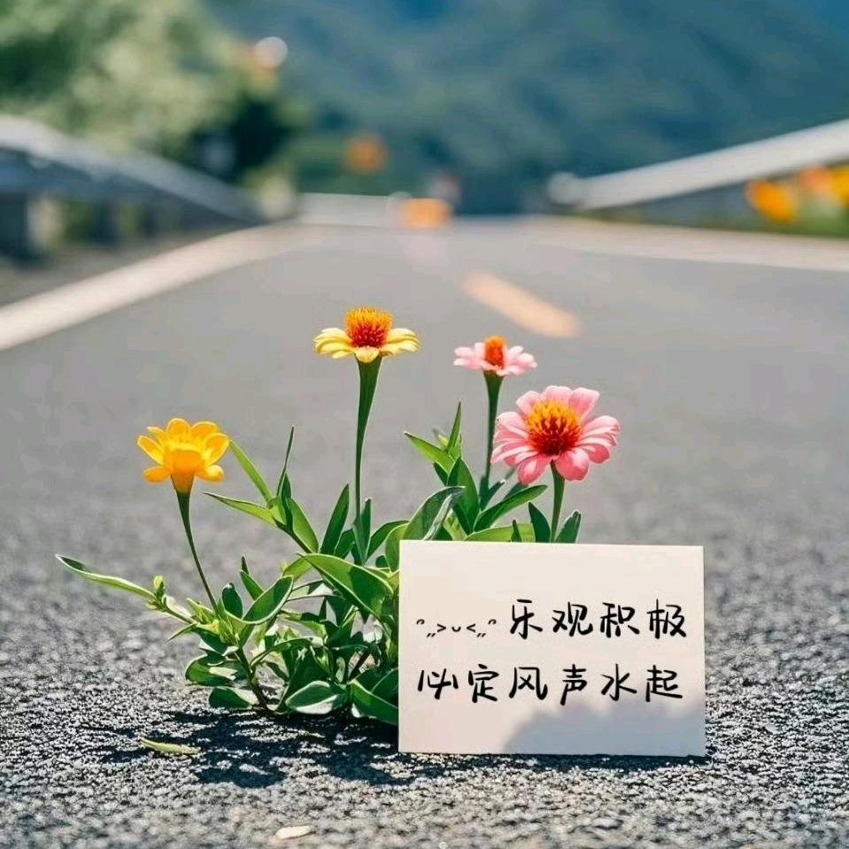 太阳嗮的油菜花
