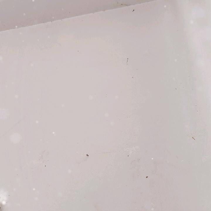 白色的墙