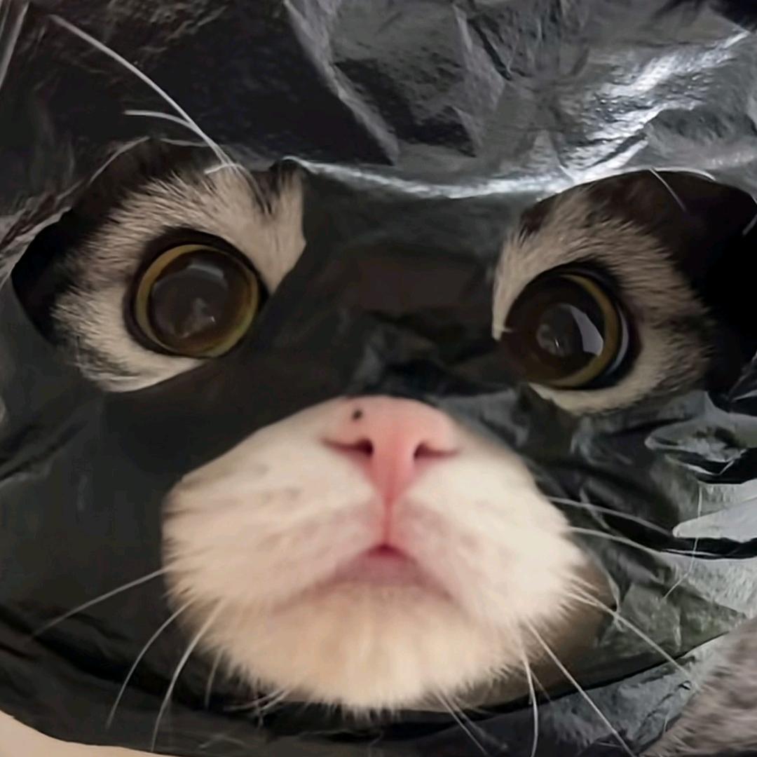 咩咩呦