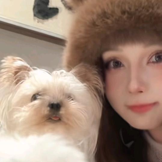 生蚝🦪🦋🐾