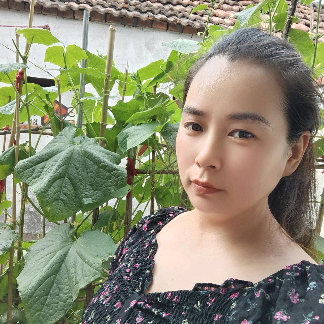 福宝《首播》下午5：30