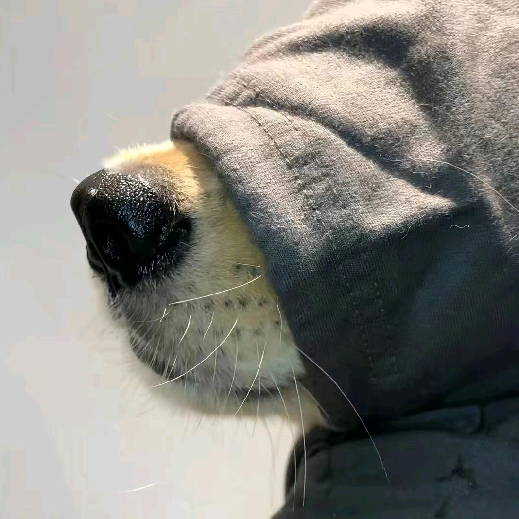 那不然嘞
