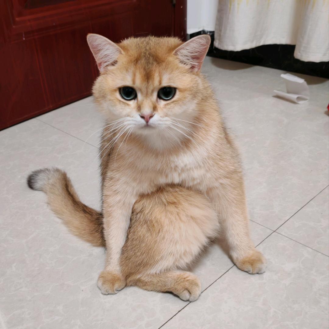 快点起床