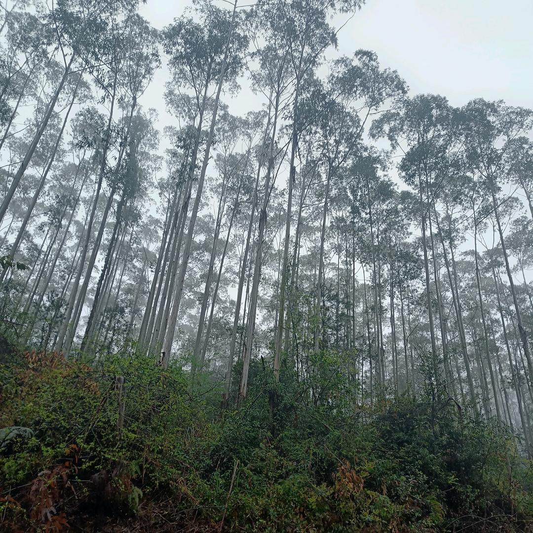 💞꧔ꦿ᭄ 醉酒看人间ღ᭄ 💕