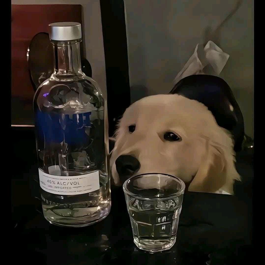 张云青（修身版）