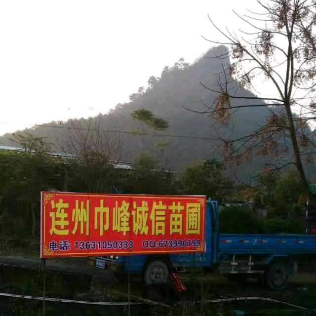 连州巾峰诚信园林