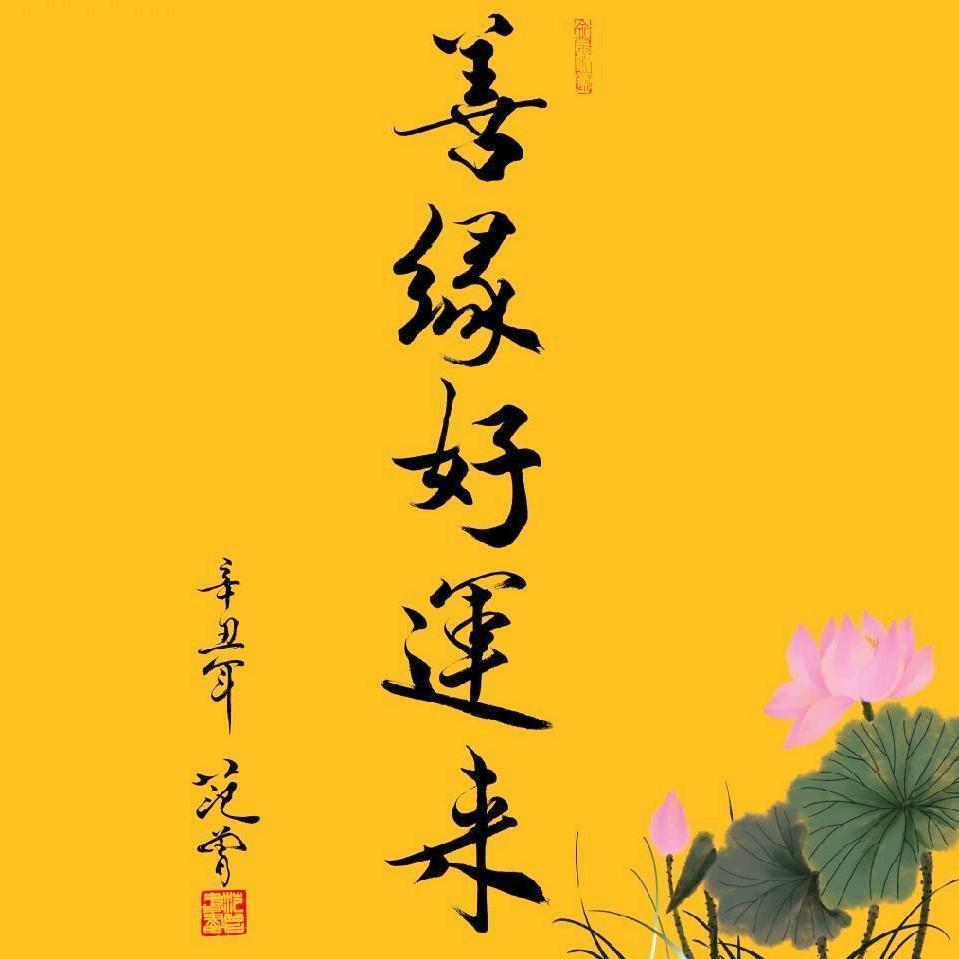 善缘好运来