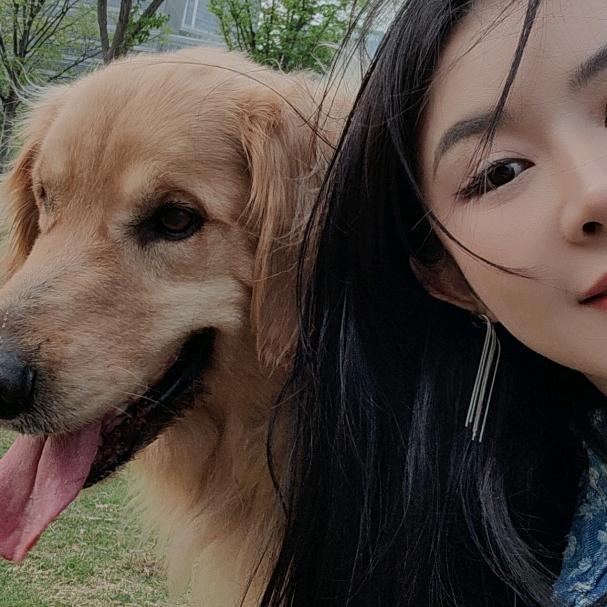 喋喋不休的蝶蝶