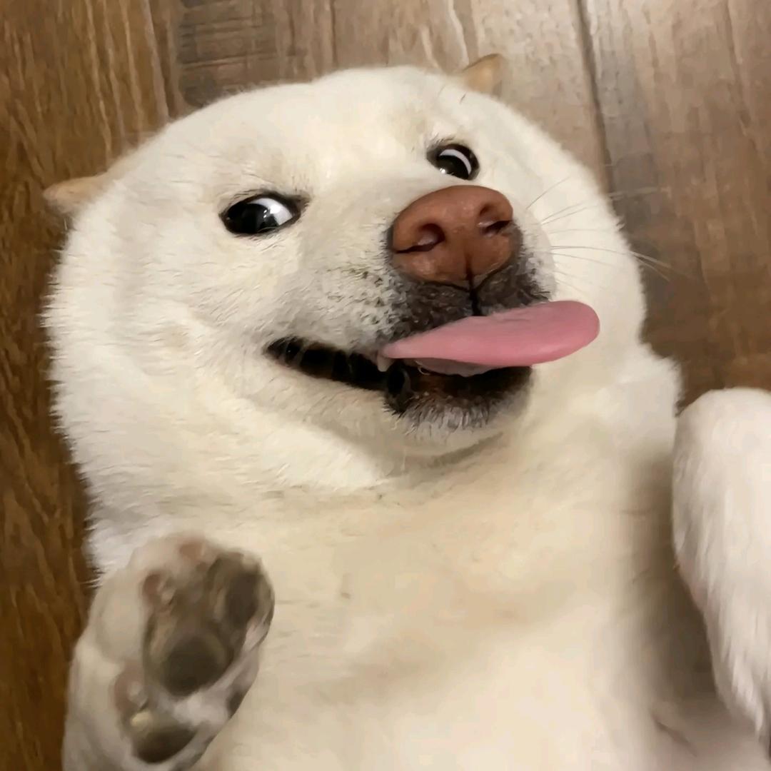 炉石战旗小王
