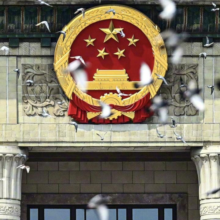 一条咸鱼w