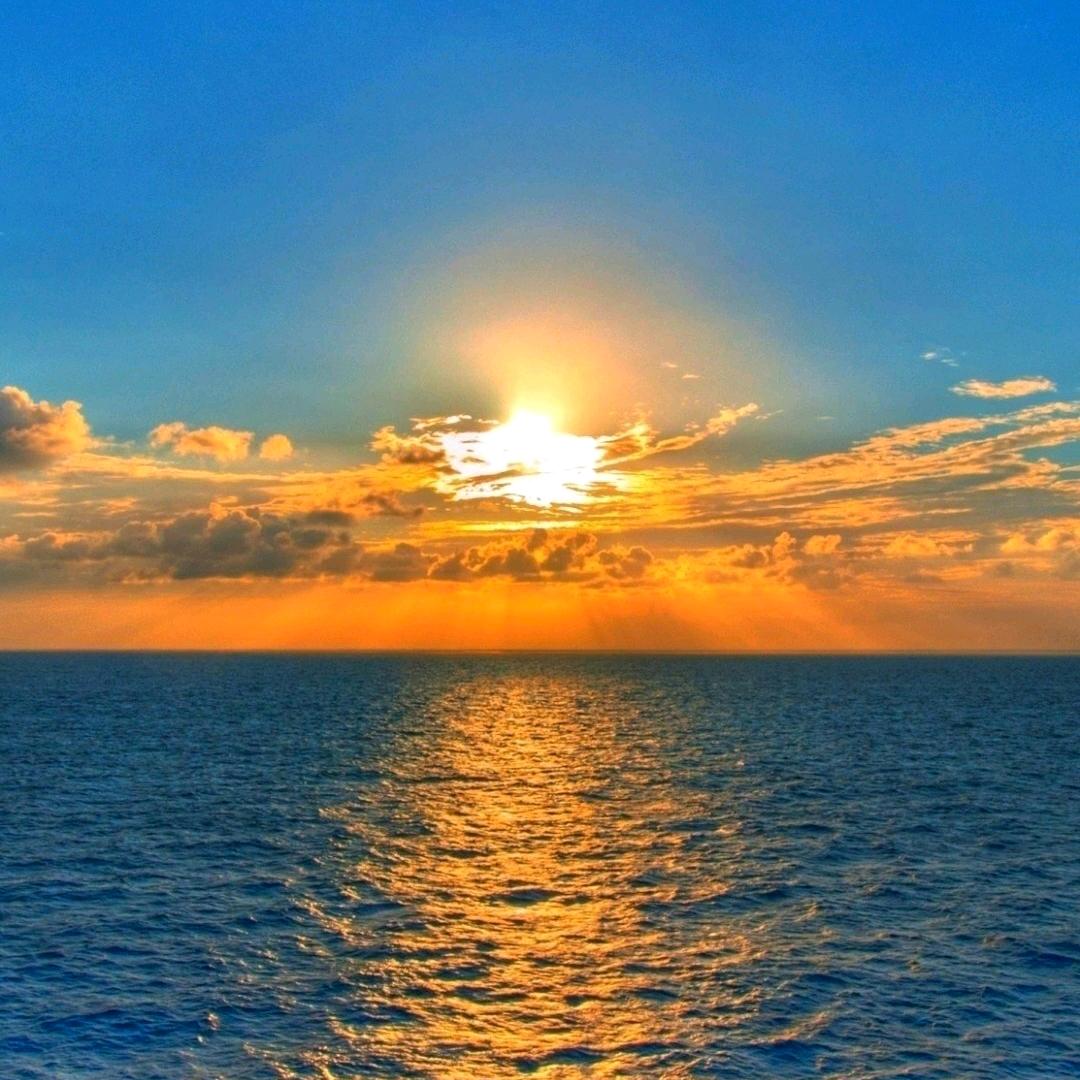 东风姐夫