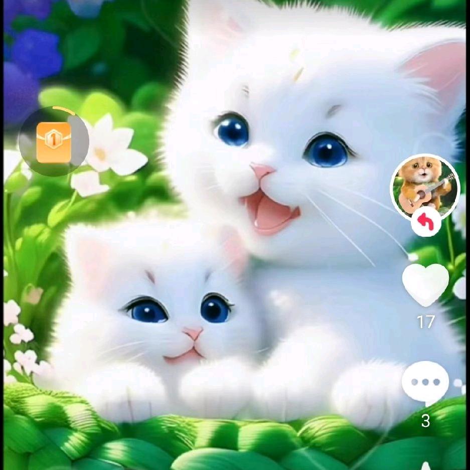 无缘，按装地下滴灌管道