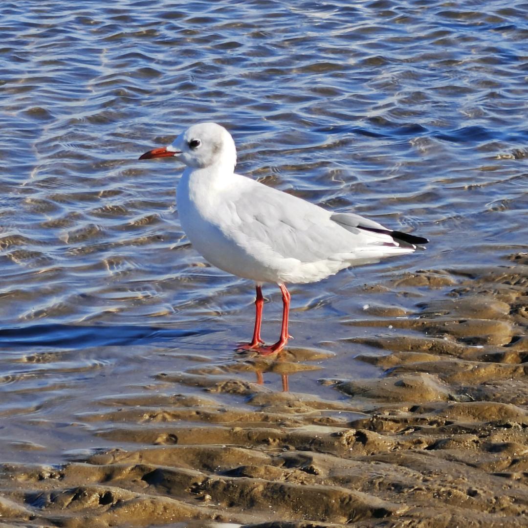 🌈🌈漠然🌈🌈