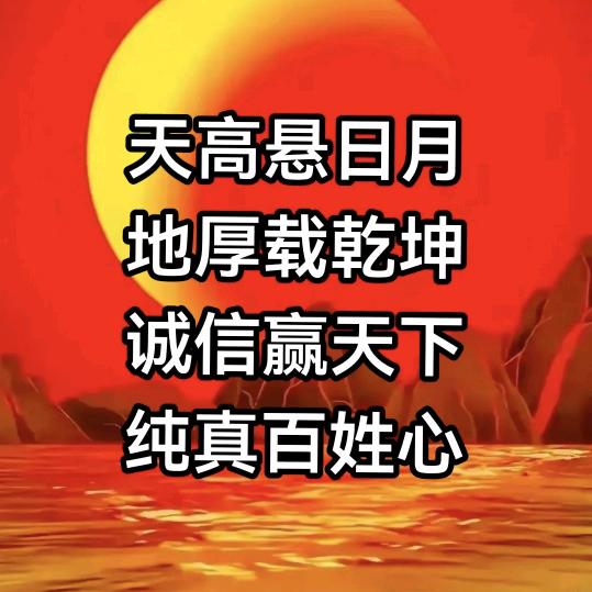 观光者