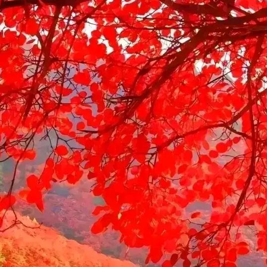 名可名装饰