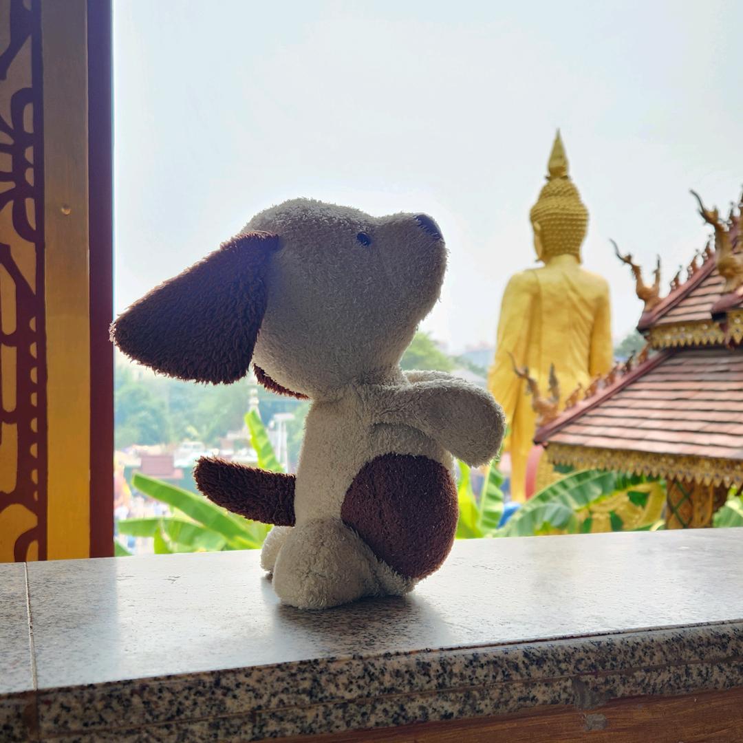 ─ 展开 117 条回复 ⌵