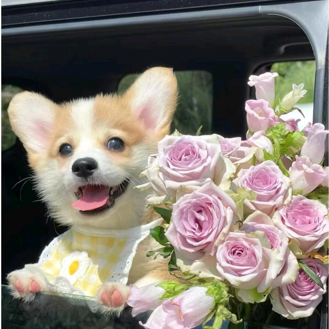 诚然（拒私聊）