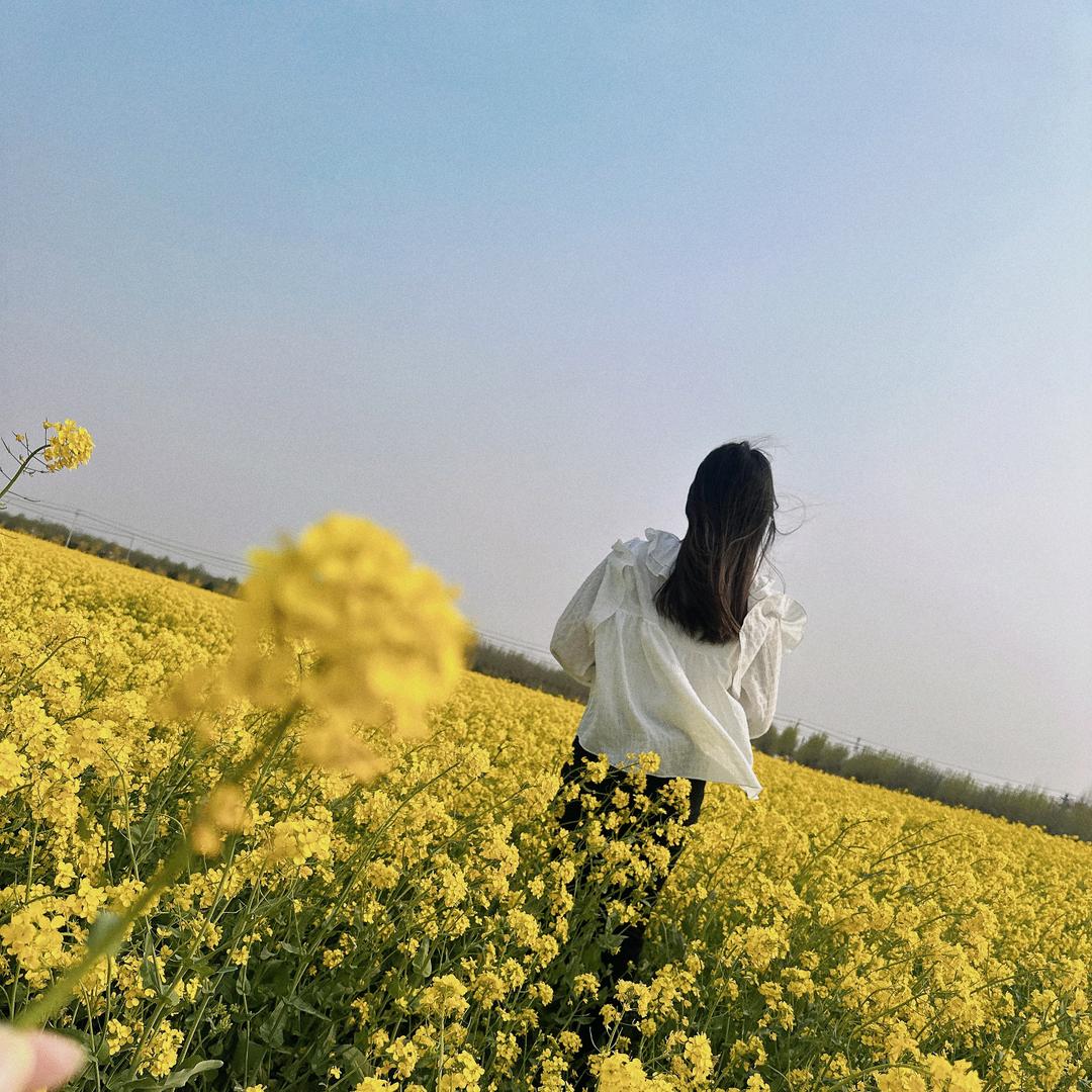 各自  ，安好。
