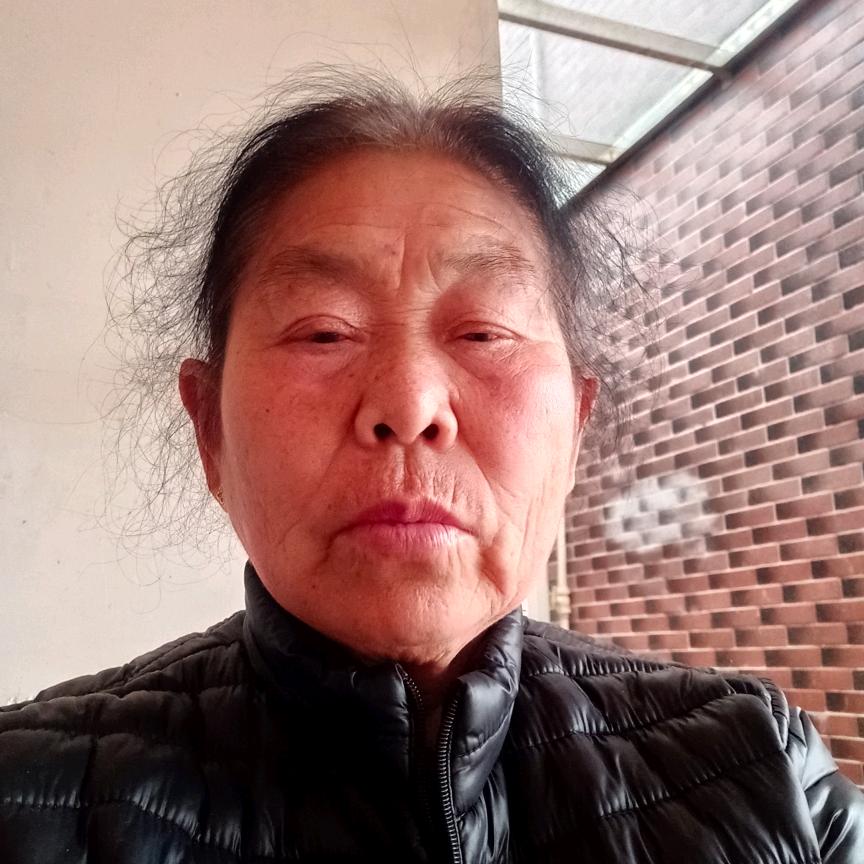 坚持到底晚上10.10分开插