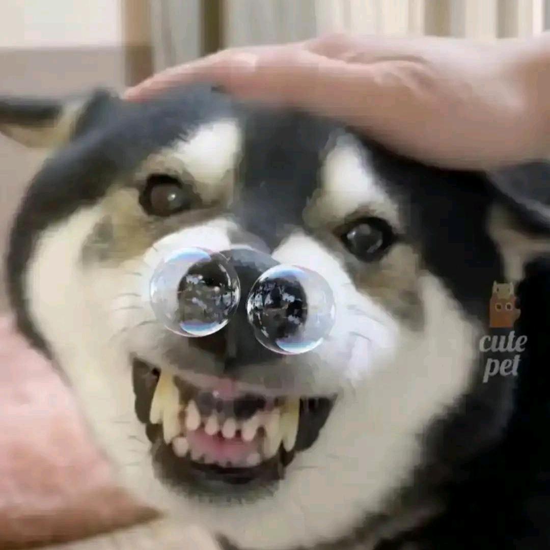 AKA小坤总想花钱🌿