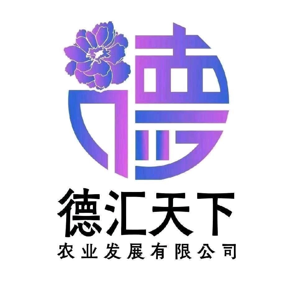 德汇天下～韩永真（小）