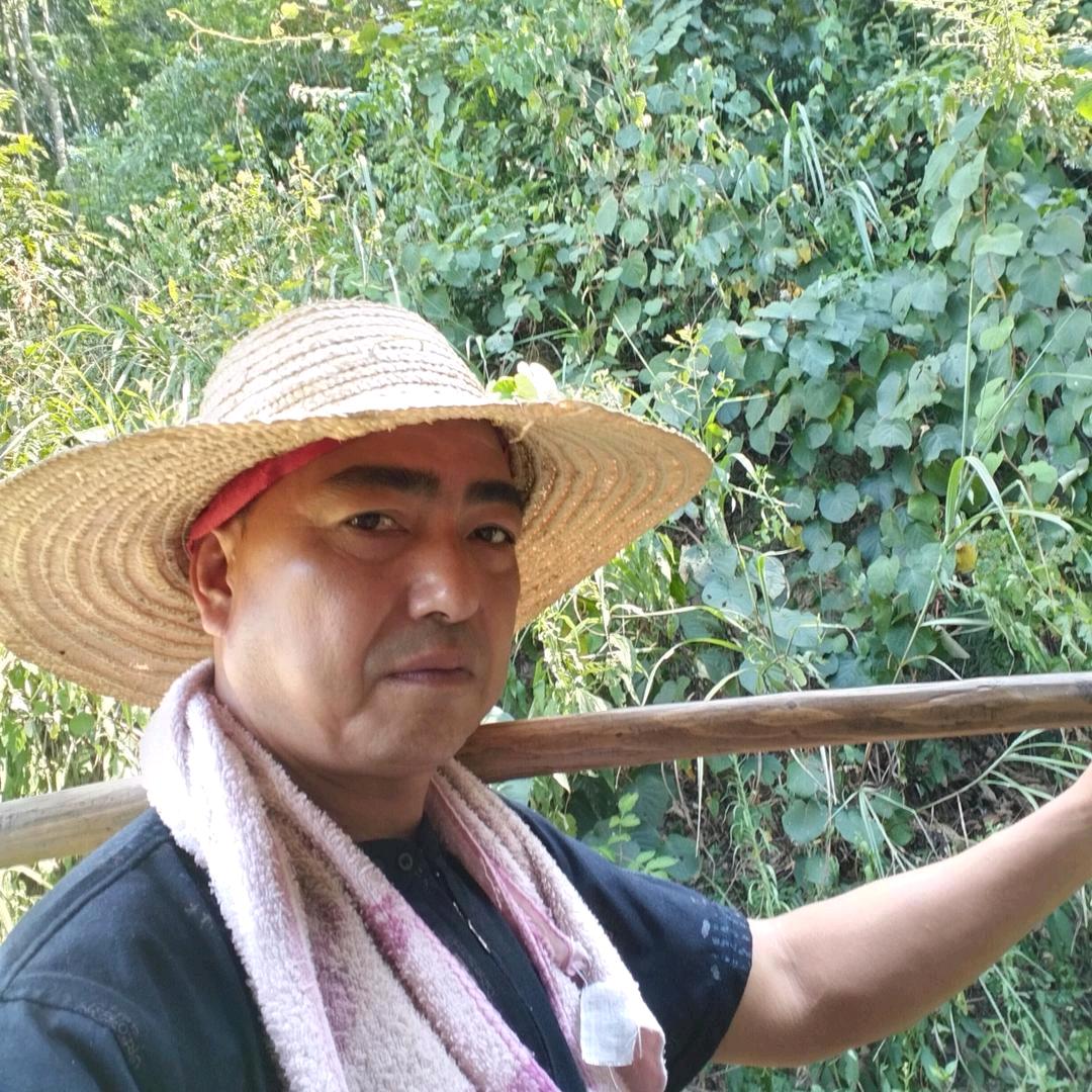 高山老农