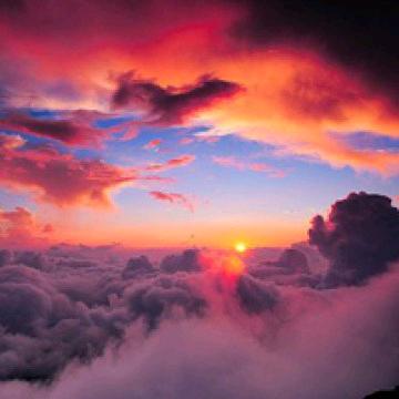 洗衣液源头工厂直发