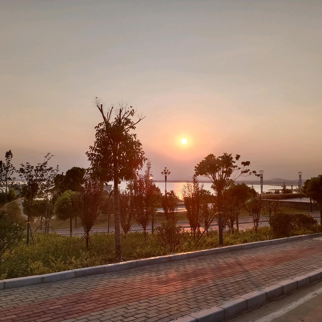 龙族