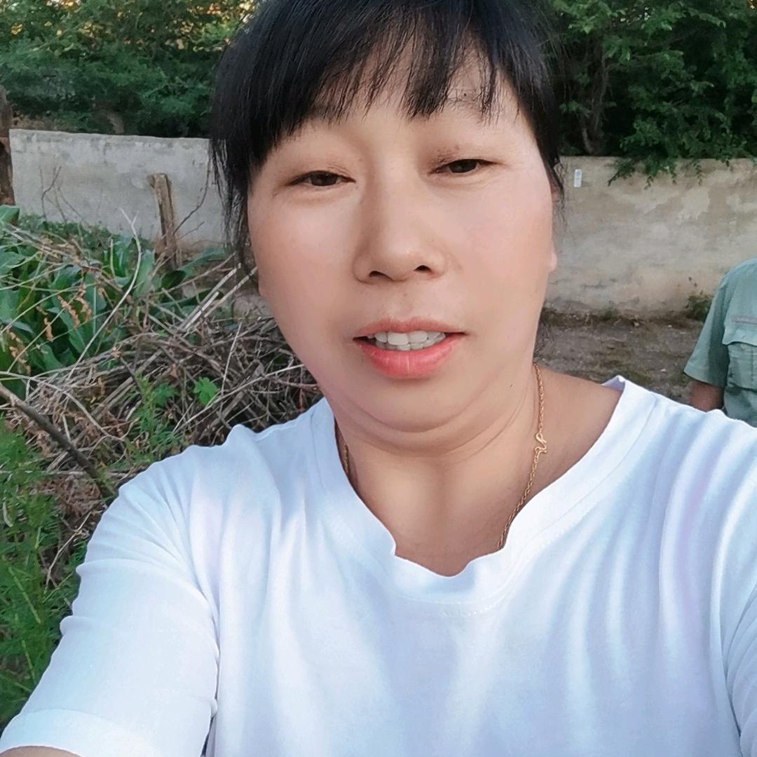 天天好心情