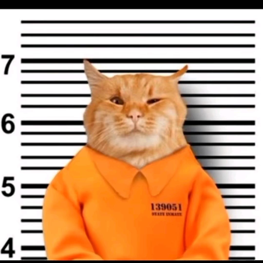 略略略略๑>ᴗO๑