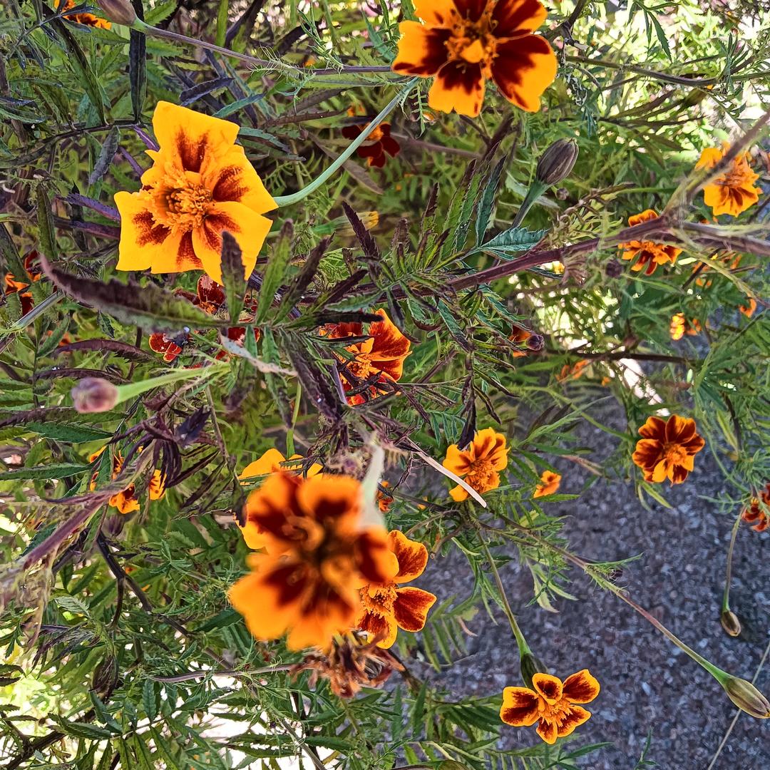 余生，好好爱自己